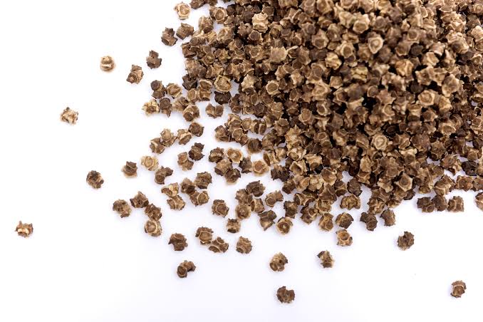 Vegetable Seeds